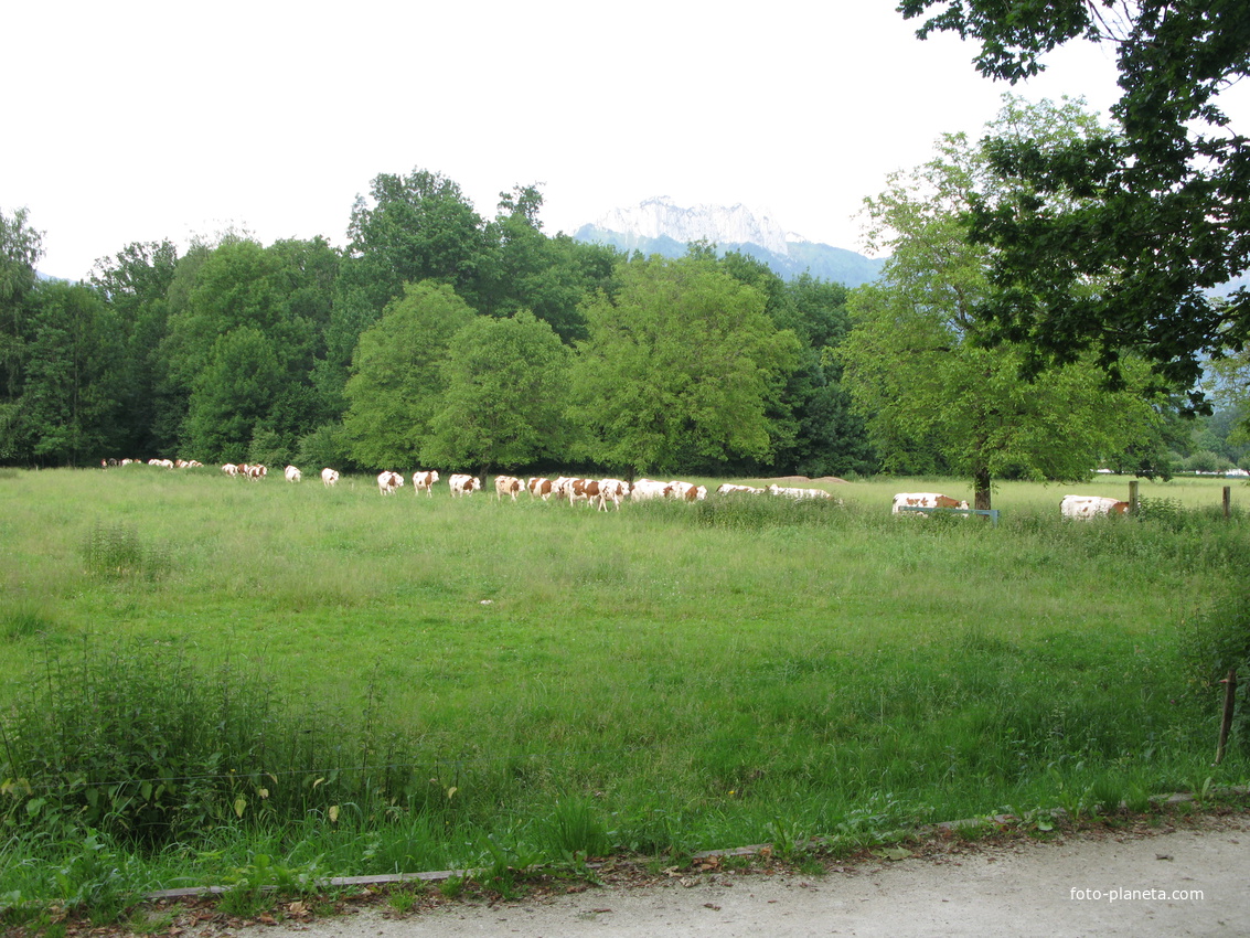 Saint-Jorioz 17/06/2013