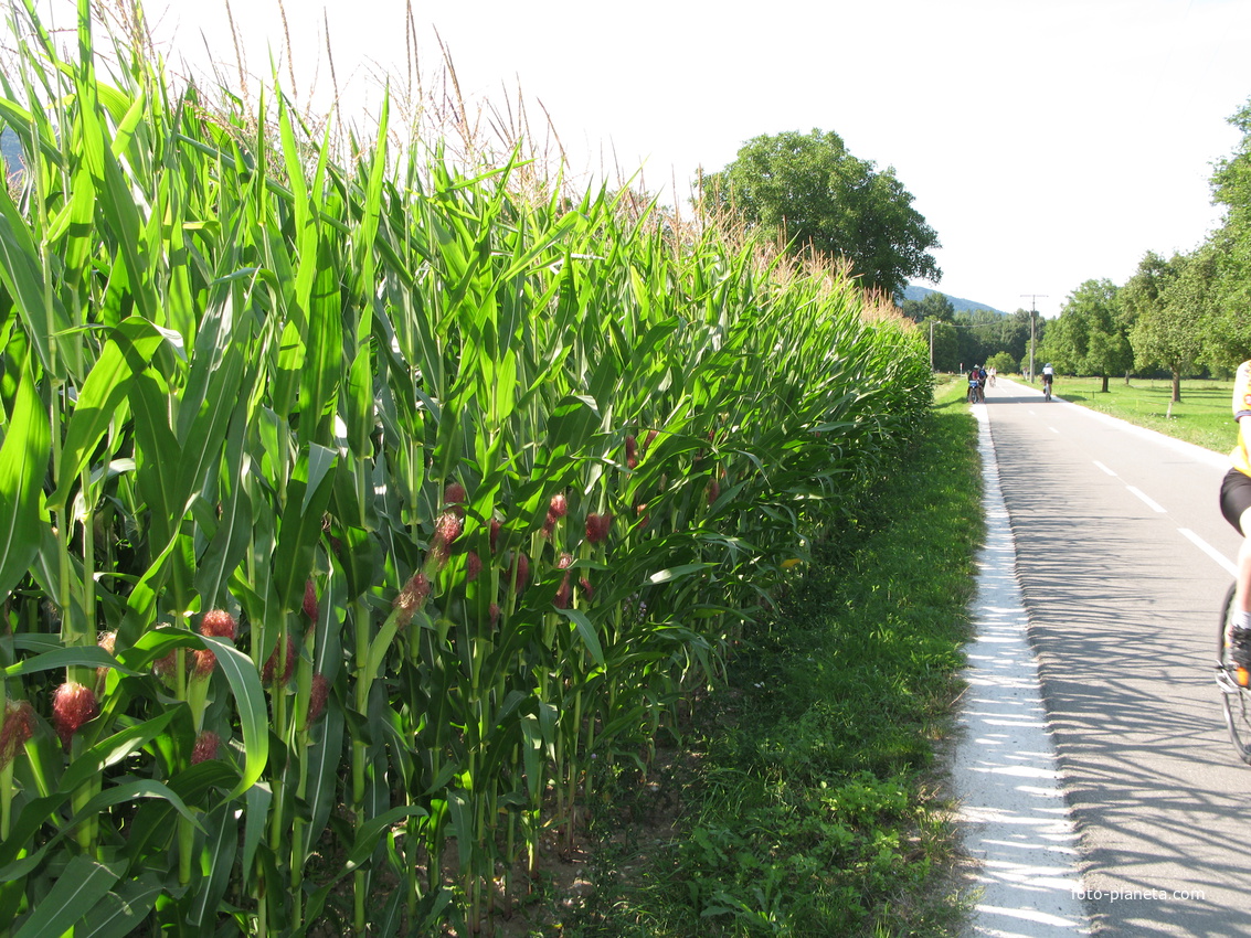 Saint-Jorioz 14/08/2013