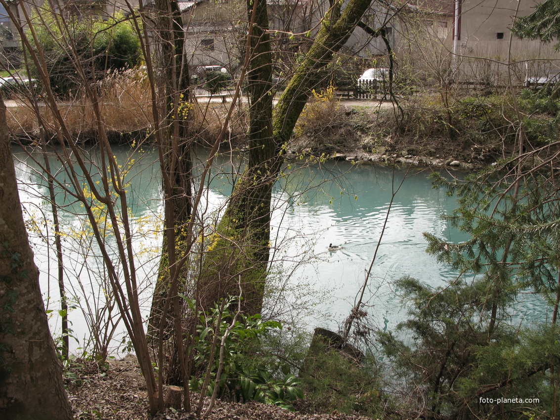 Cran-Gevrier 2008 Thiou