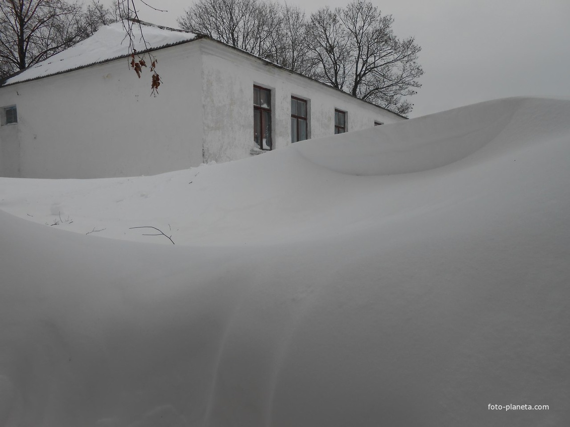 Лісове