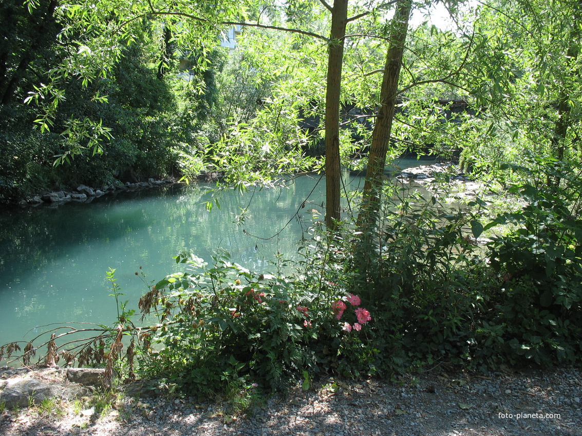 Cran-Gevrier 2009 Thiou