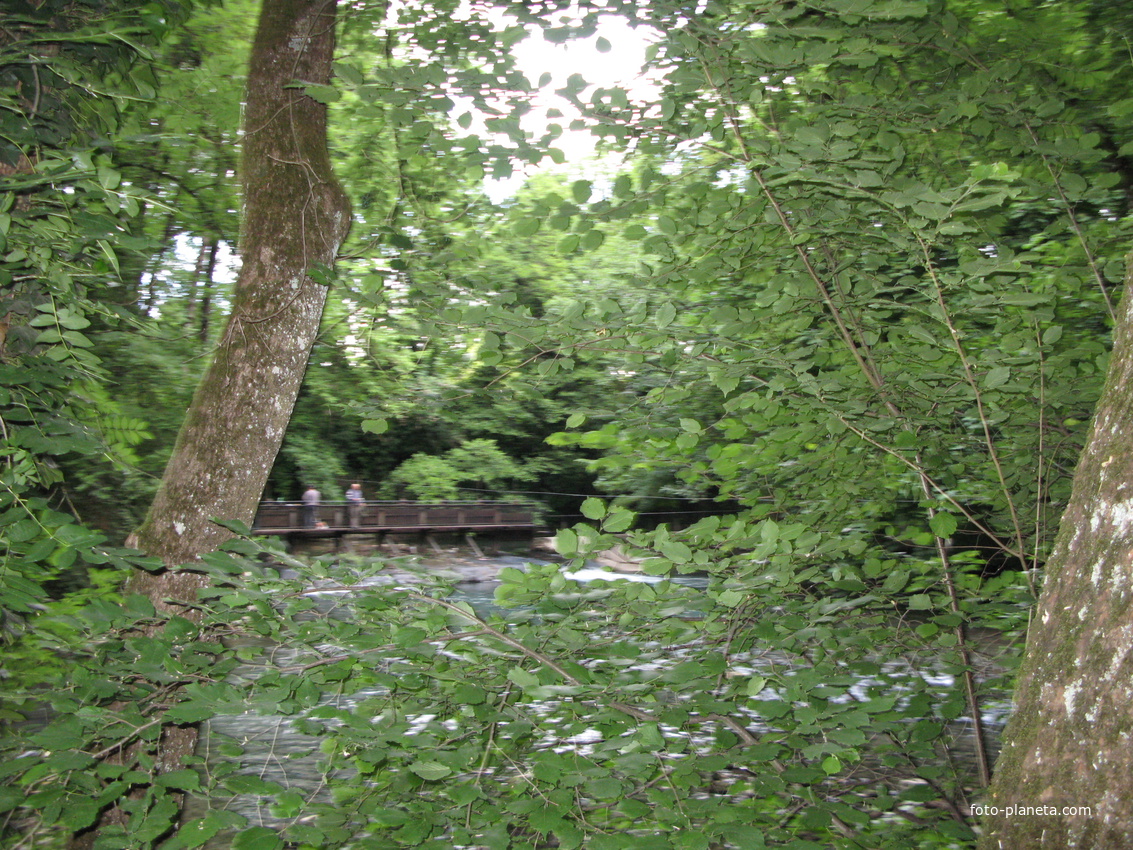 Cran-Gevrier 2011 Thiou