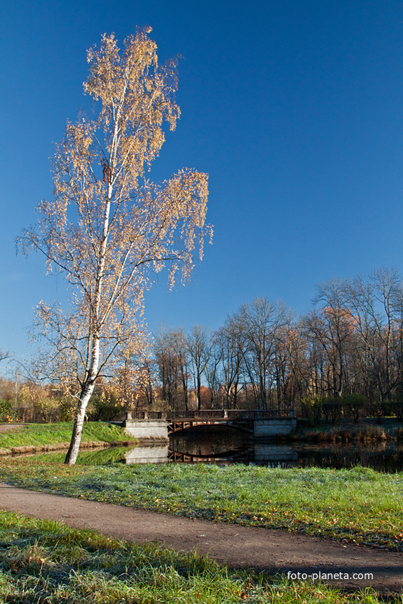 Александровский парк