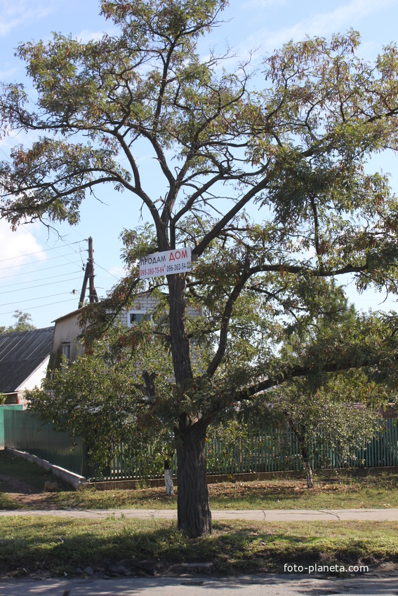 Бердянск. Пр. Пролетарский.