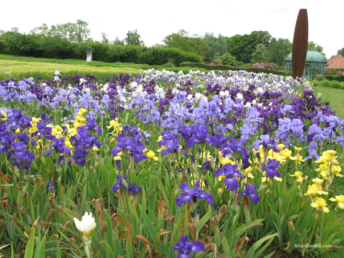 Vullierens 09/06/2013