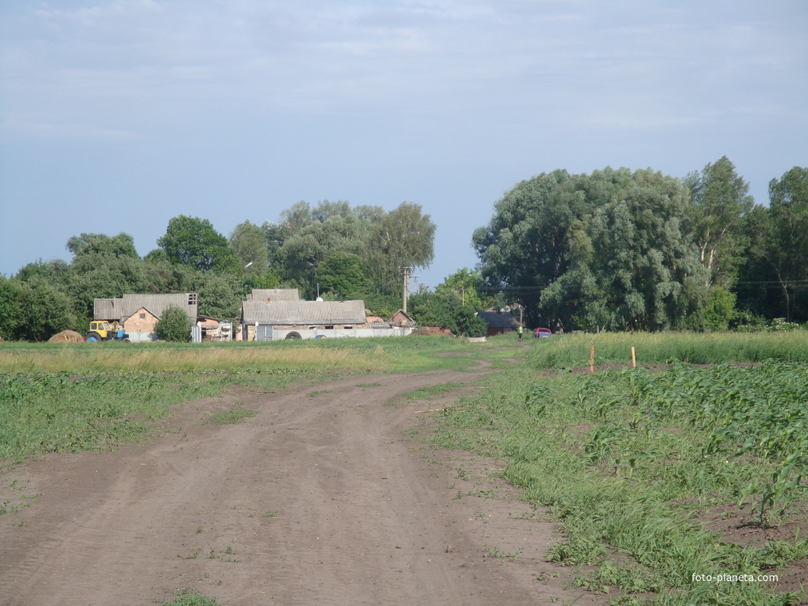 Одна з доріг, що веде із поля в село.