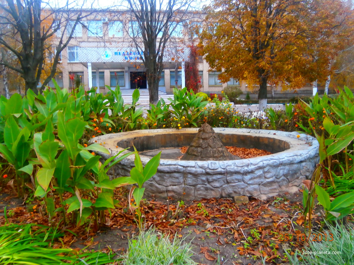 фонтан, Бериславський педагогічний коледж