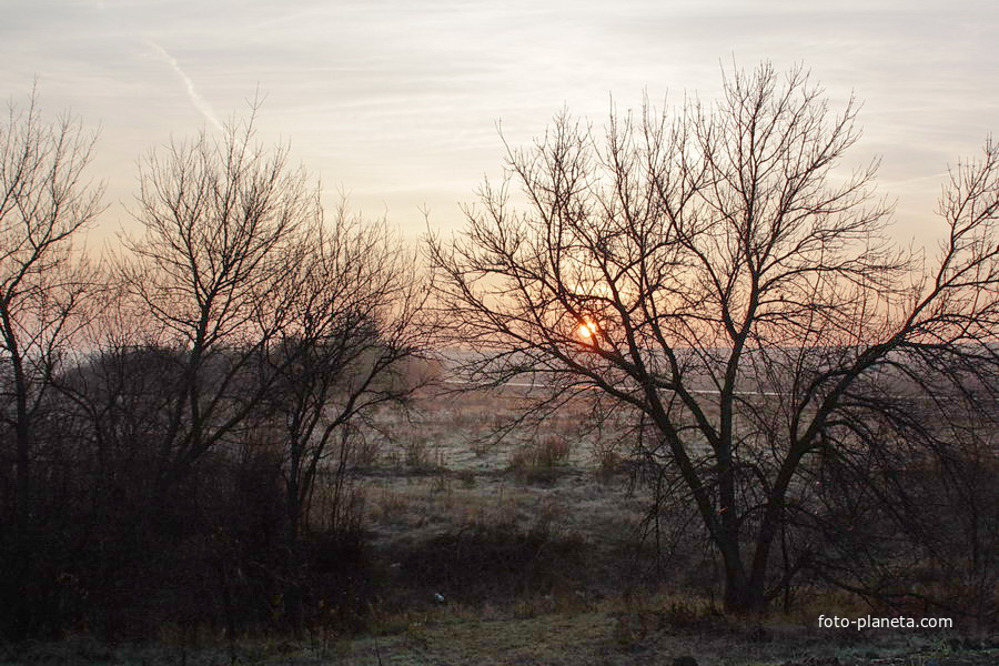 Утро в Мокром Логу