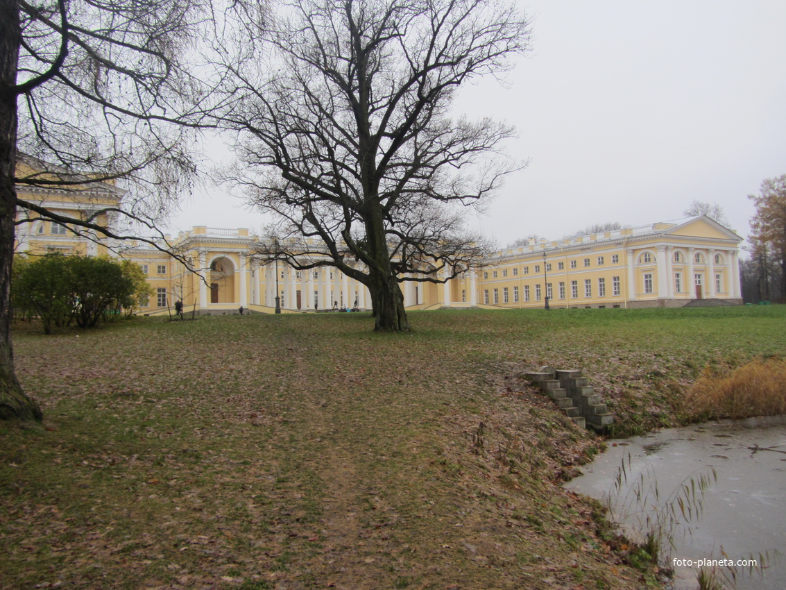 Царское Село, дворец, парк