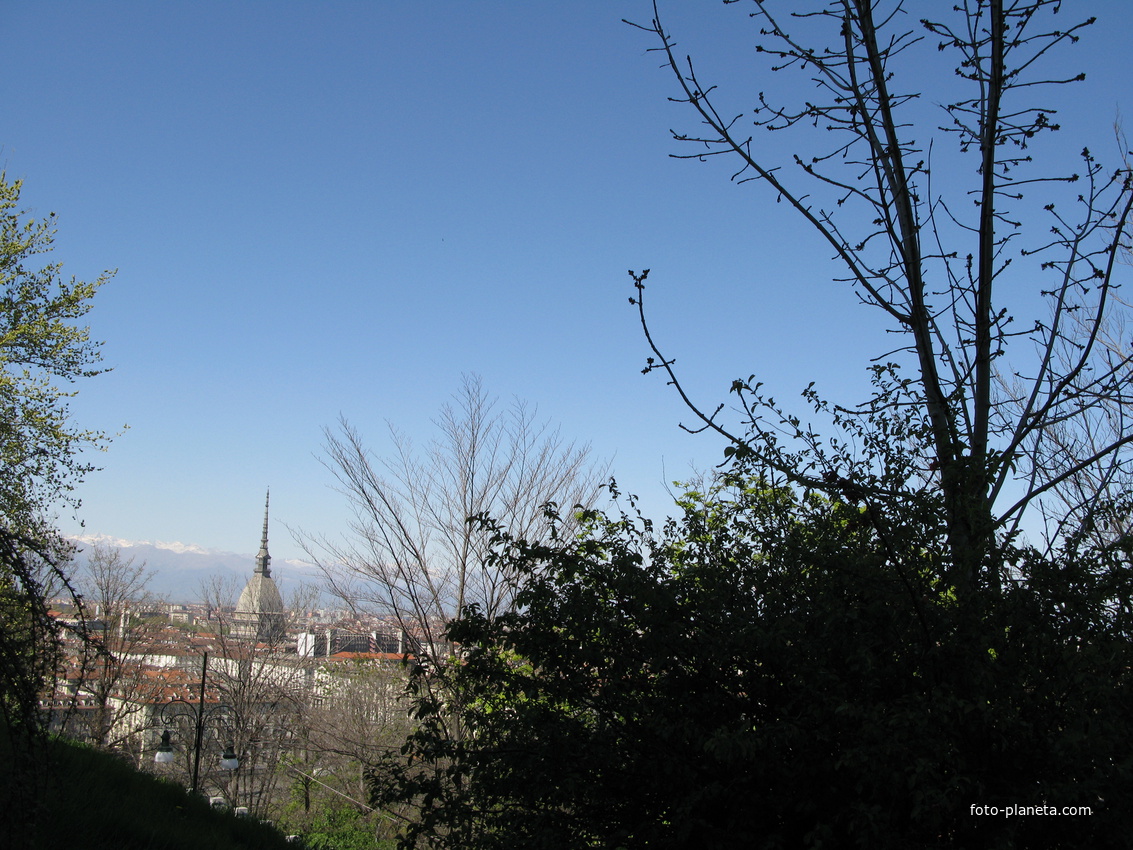 Torino 2008