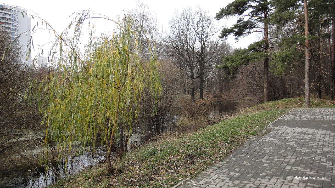 Парк 1 и 6 микрорайона Загорья