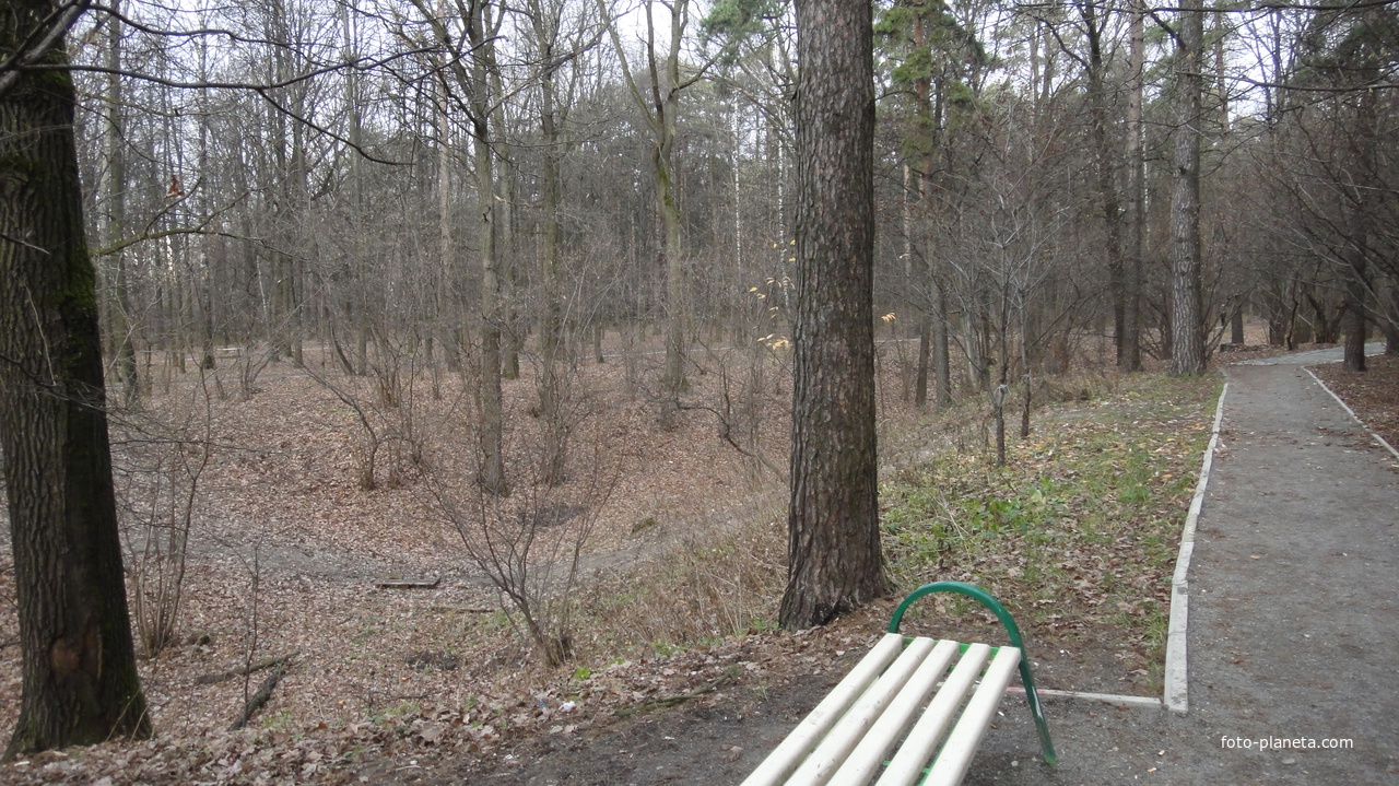 Парк 1 и 6 микрорайона Загорья