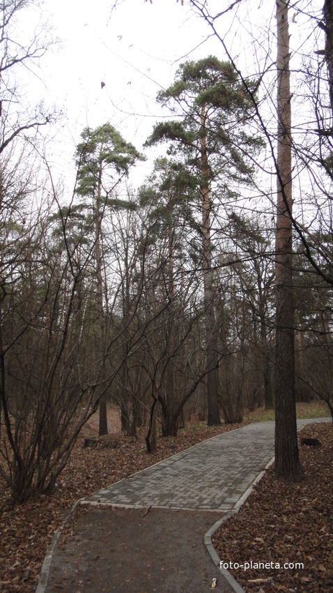 Парк в Загорье