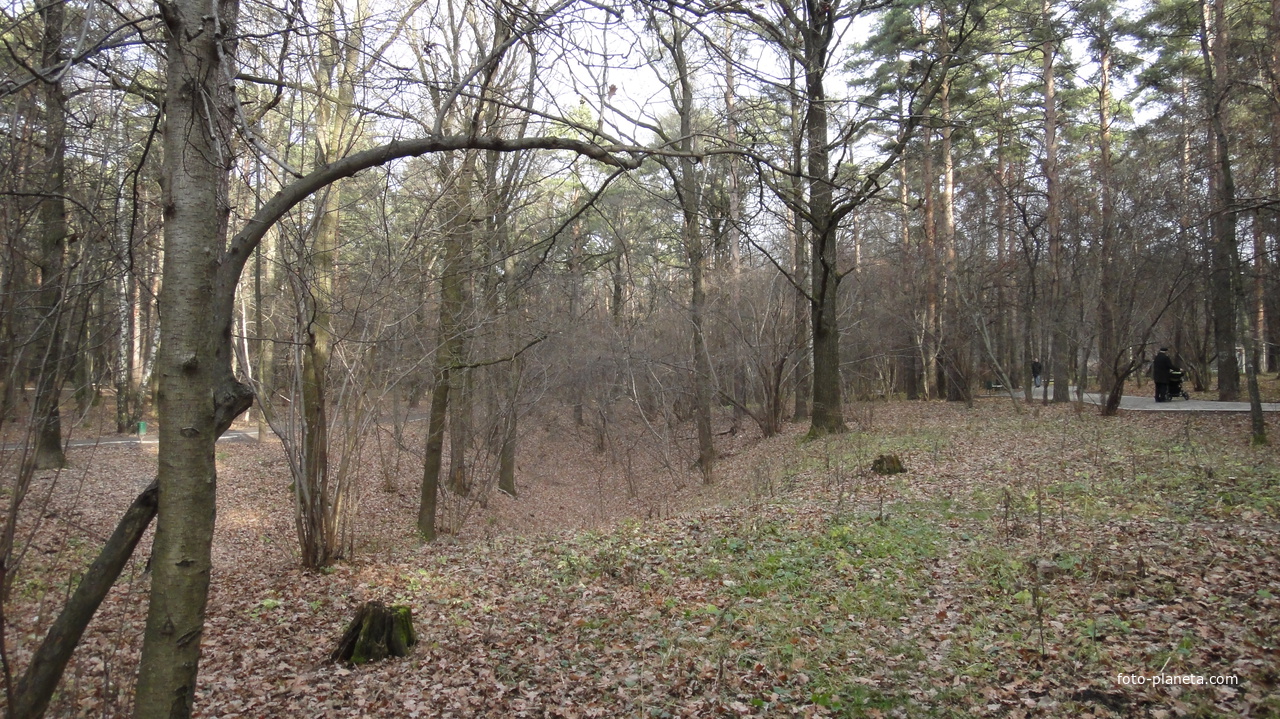 Поздней осенью в Загорьевском парке