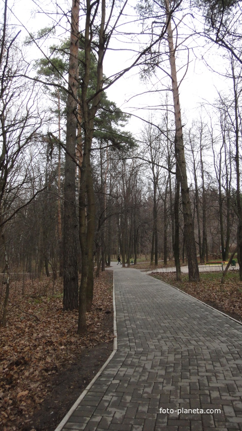 Дорожки в Загорьевском парке