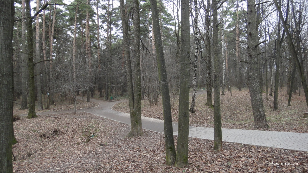 Осень, Загорье, парк