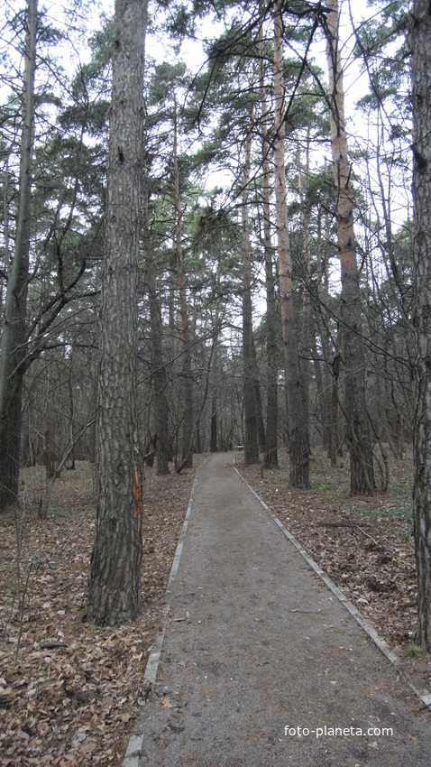 Парк у пруда Дунай