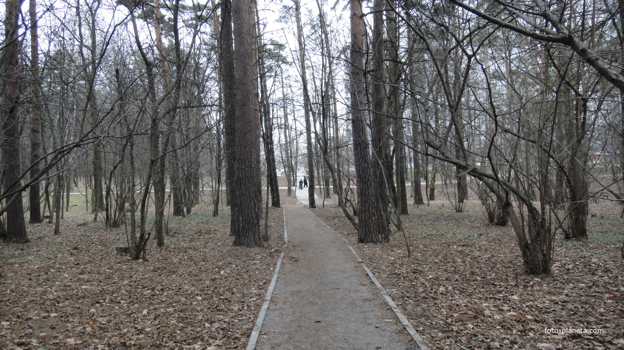 Парк в 6 микрорайоне