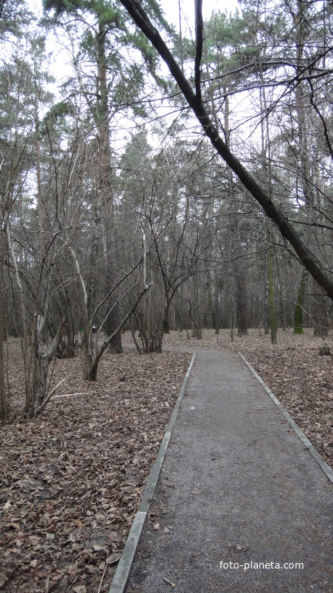 Осенний парк