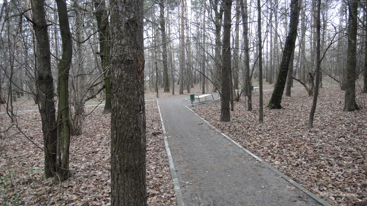 Тропинки в парке