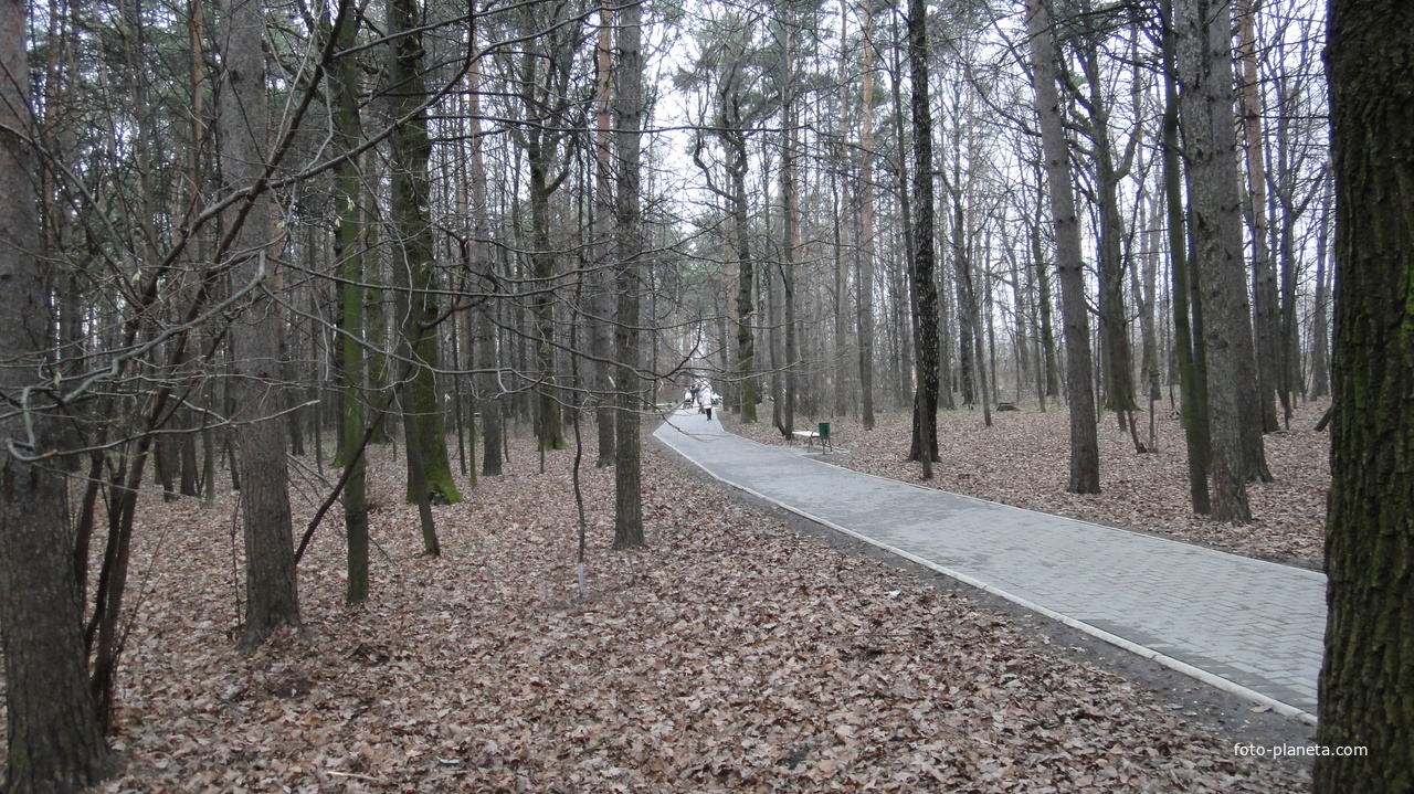 Загорьевский парк 1-го микрорайона