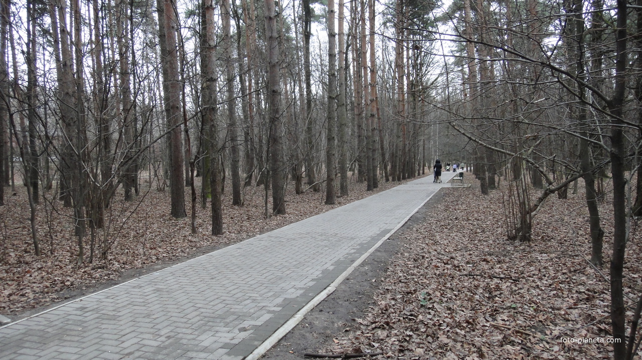 Парк у железной дороги