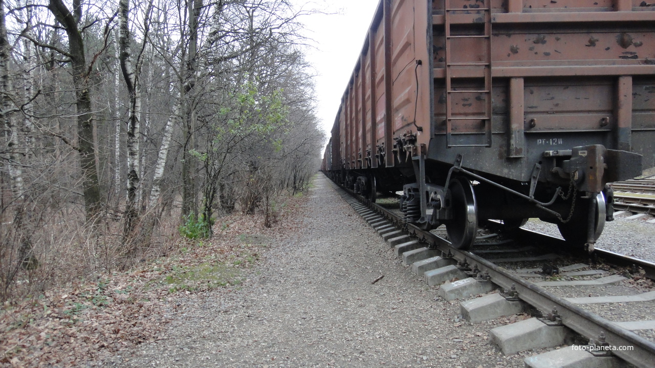 Грузовая сортировочная станция.