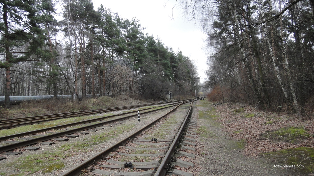 Однопутная железнодорожная ветка на Москокс в город Видное