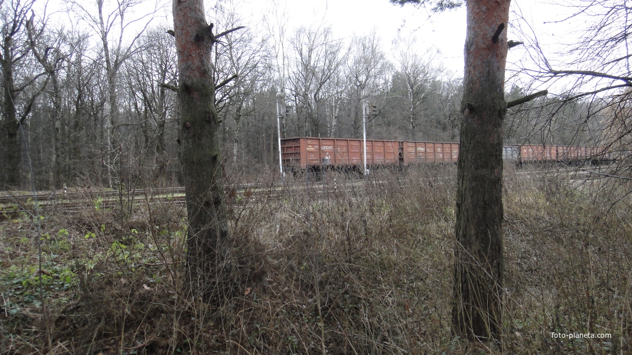 ЖД станция Обменная