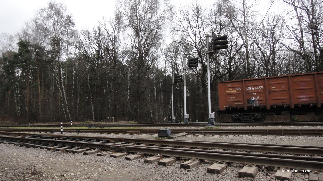 Тропа через жд в Загорье