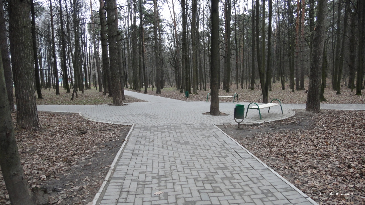 Центр Загорьевского парка