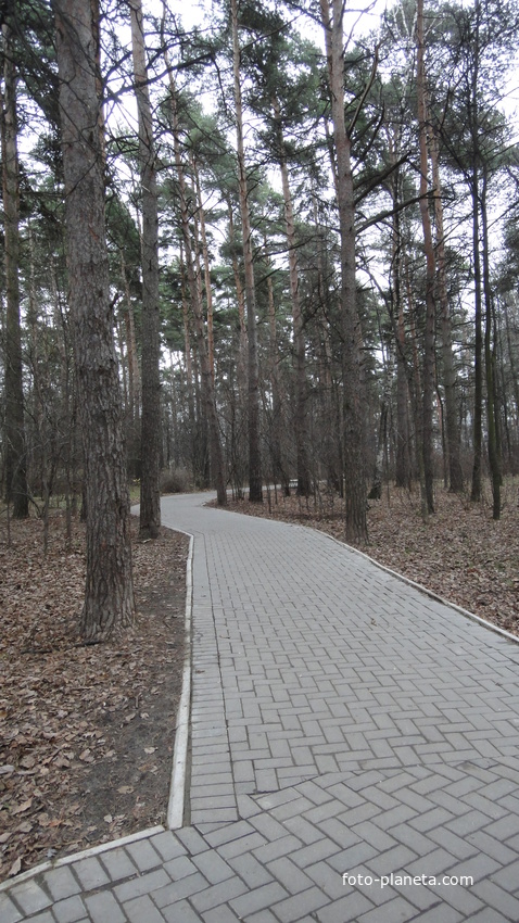 Бетонные дорожки в Загорьевском парке