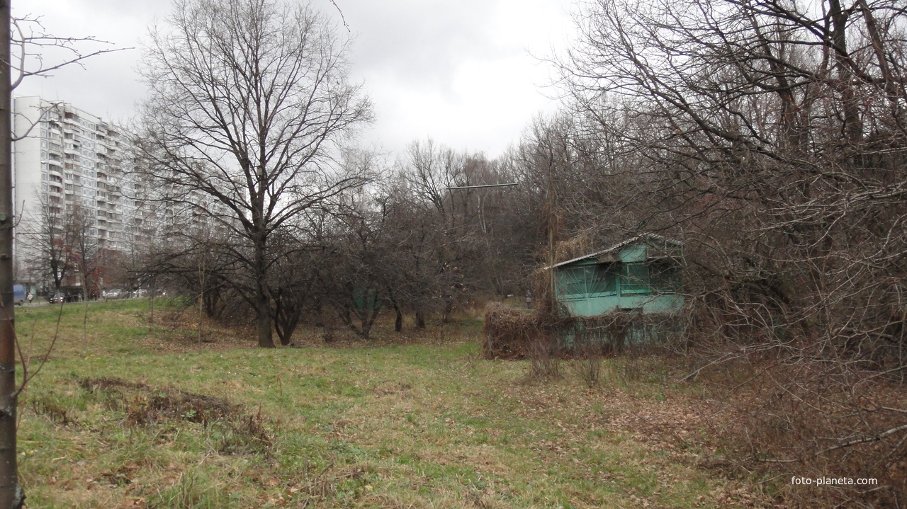 Голубятни на Липецкой