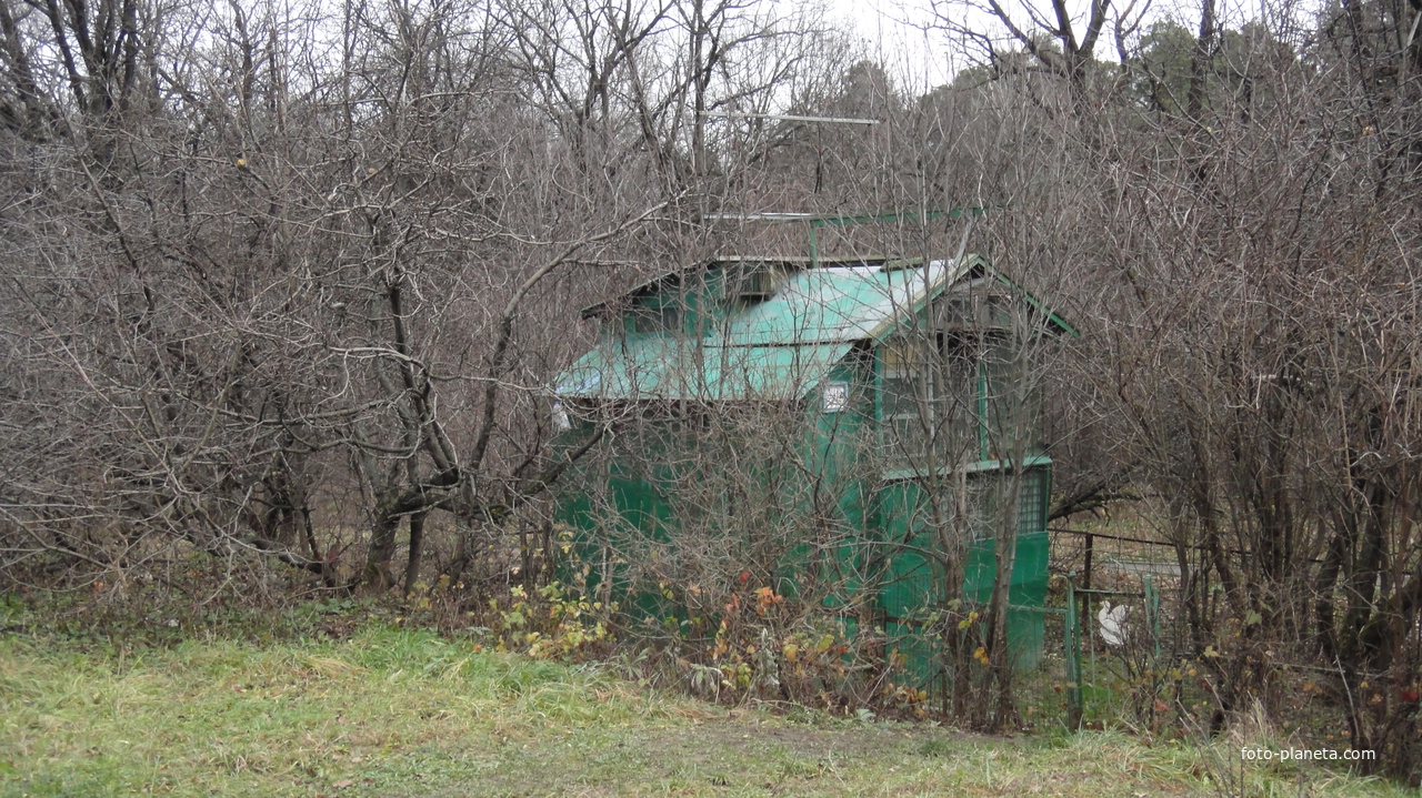 Голубятня в Загорьевском парке