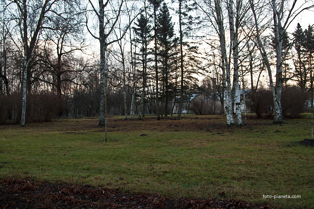 Городской парк