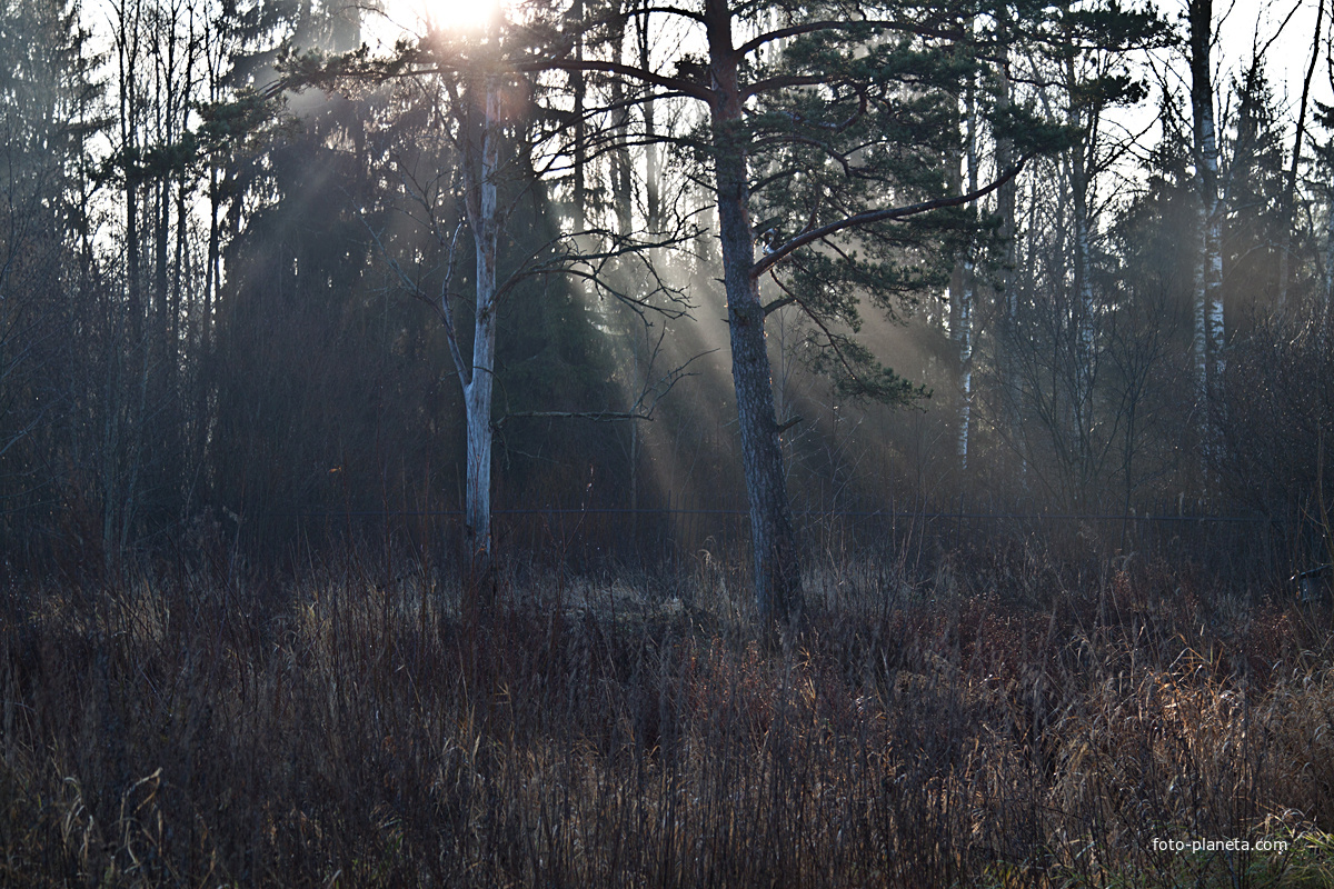 Фермский парк