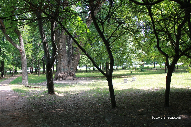 Парк за Геогиевским Собором.