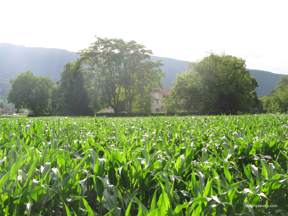 Saint-Jorioz 23/06/2011