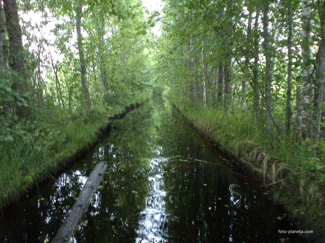 Пореево июнь 2013