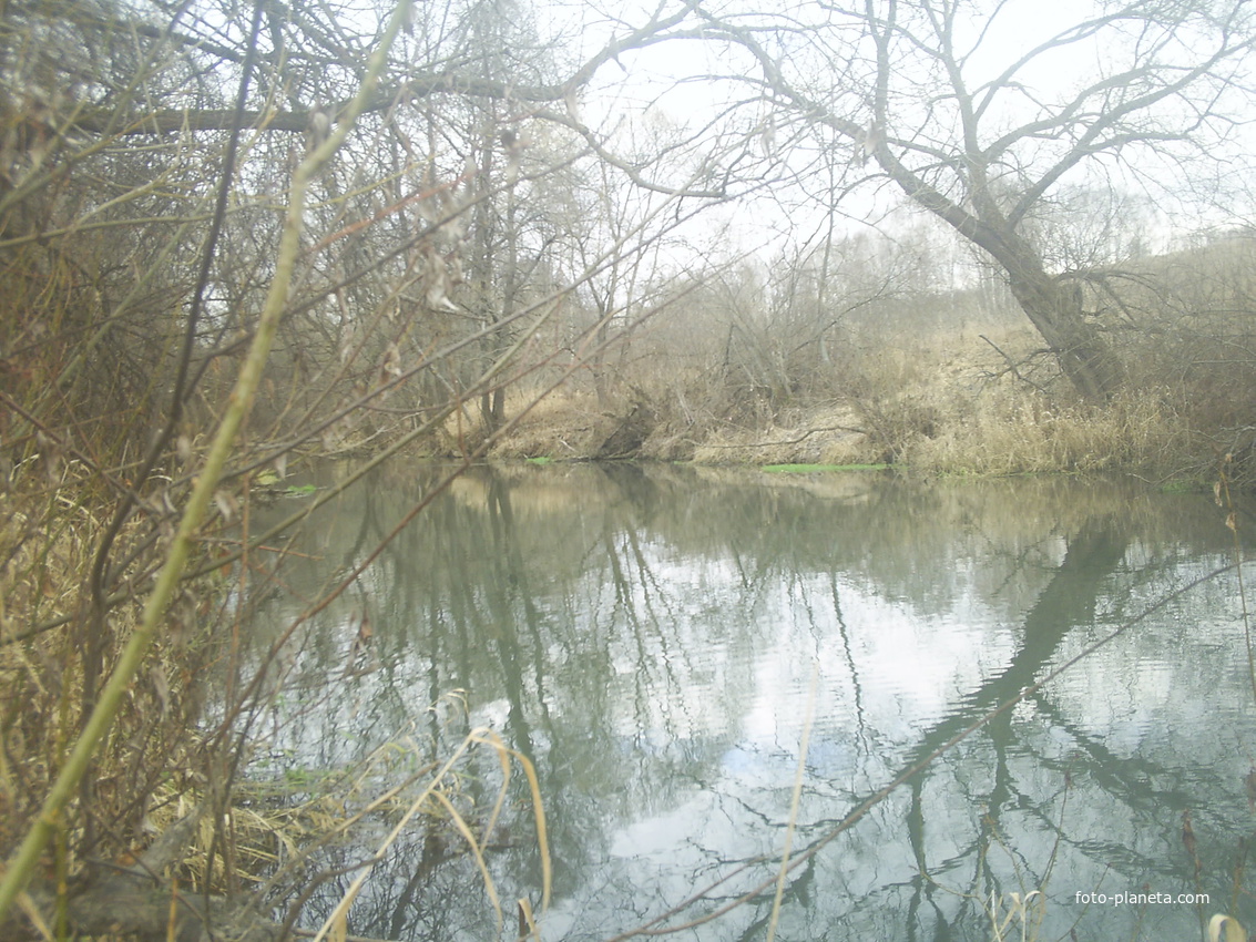 река Высса в деревне Ропщицы