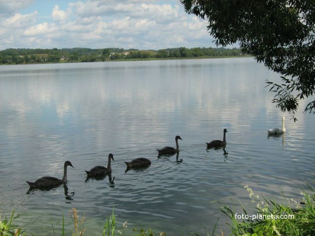 Озеро Себежское