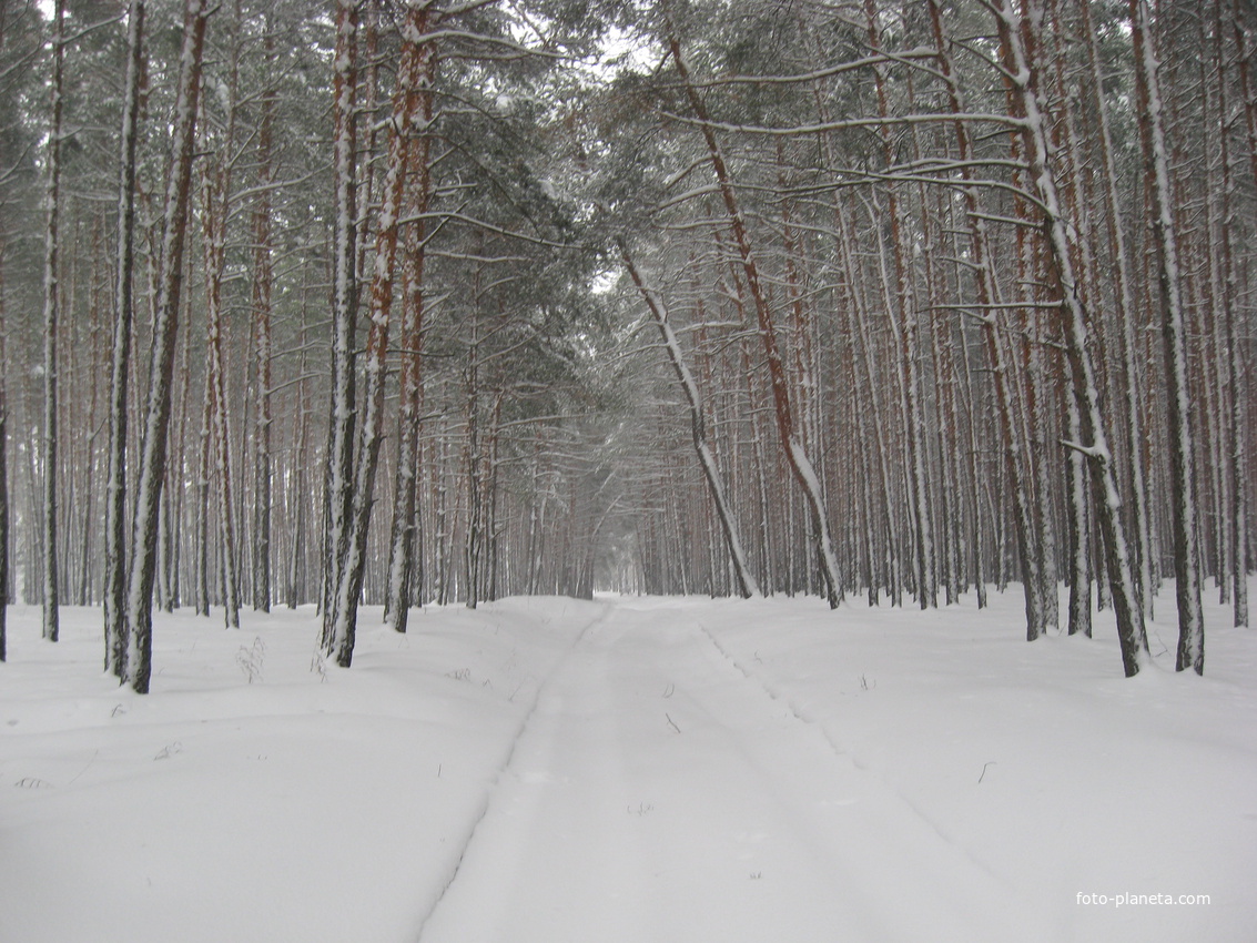 Рождество 2011