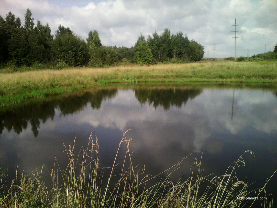 пруд