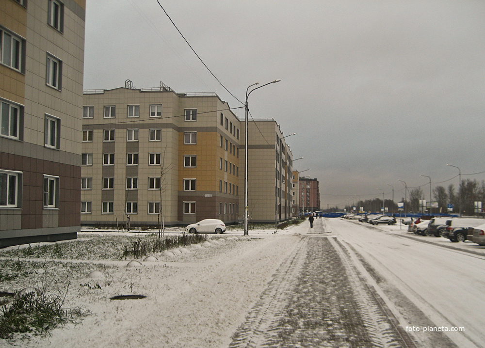 Колпинское шоссе