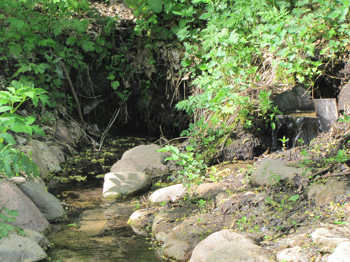 Родники в Крупе