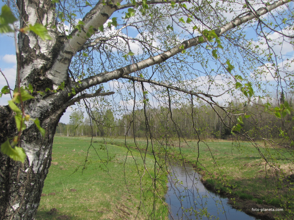 Речка Жорновка в апреле. Жеремец