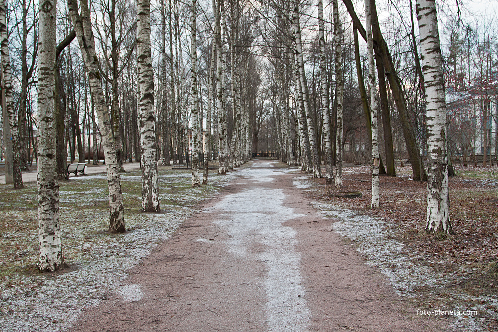 На улице Березовой