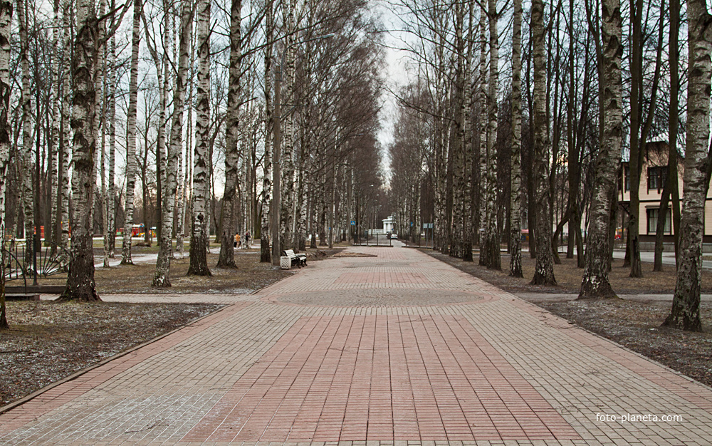 Улица Березовая