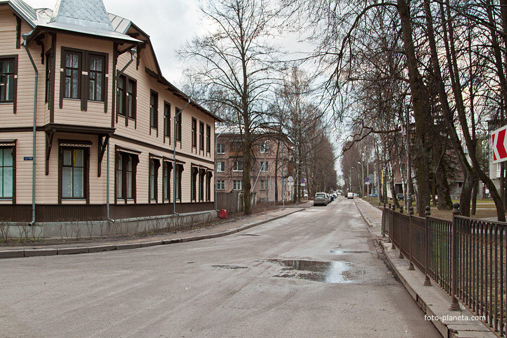 Улица Лебединая