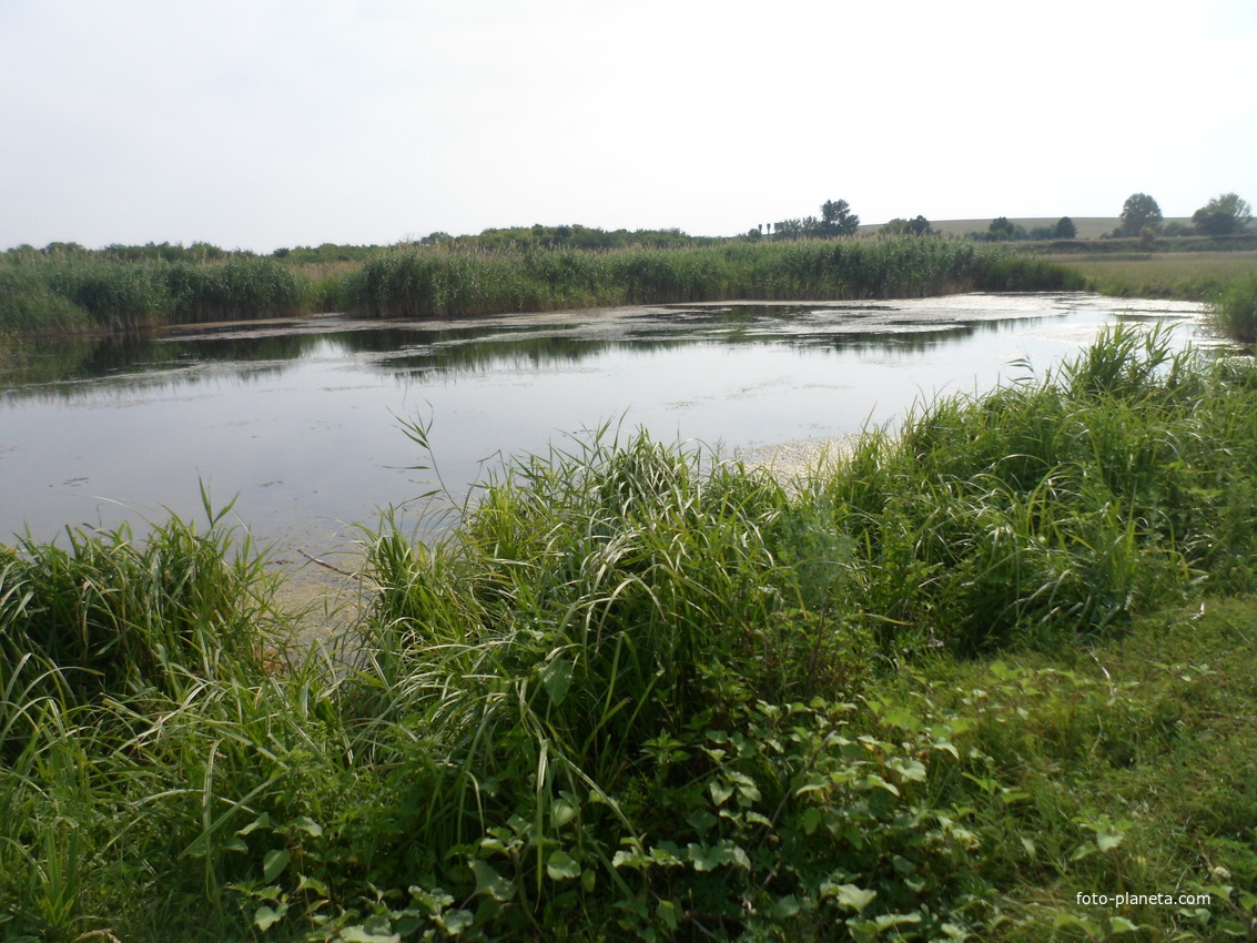 Александровка